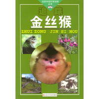 追踪金丝猴/追踪中国珍稀动物丛书