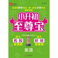 小升初至尊宝 英语