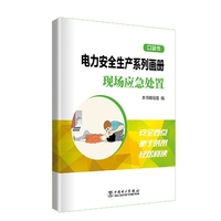 电力安全生产系列画册（口袋书） 现场应急处置