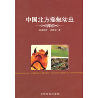 中国北方摇蚊幼虫