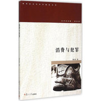 城市安全与社会稳定丛书：消费与犯罪