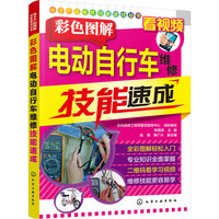 电子产品维修技能速成丛书--彩色图解电动自行车维修技能速成