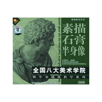素描石膏半身像全国八大美术学院附中基础课教学系列(VCD)