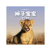 狮子宝宝忙碌的一天