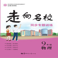 走向名校 同步专题训练 9年级物理