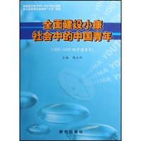 全面建设小康社会中的中国青年(1992-2002的中国青年)