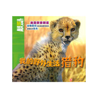 我的野外生活：猎豹
