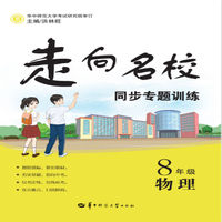 走向名校 同步专题训练 8年级物理