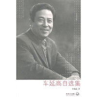 车延高自选集
