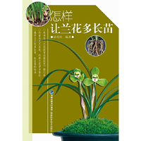 怎样让兰花多长苗