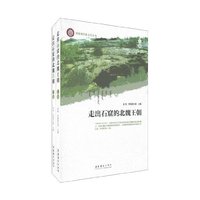 走出石窟的北魏王朝-(上.下卷)