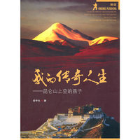 我的传奇人生-昆仑山上空的燕子