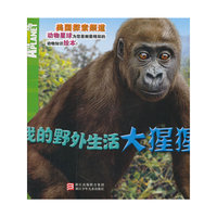 我的野外生活：大猩猩