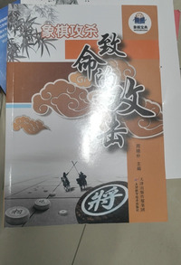 象棋攻杀  致命的攻击