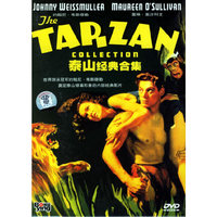 博颖 泰山经典合集……6DVD(DVD)