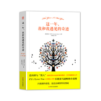 这一年.我和我遇见的奇迹