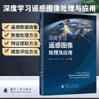 深度学习遥感图像处理及应用