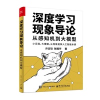 深度学习现象导论：从感知机到大模型