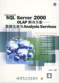 SQL Server 2000 OLAP解决方案：数据仓库与Analysis Srvices