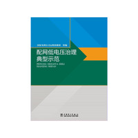 配网低电压治理典型示范