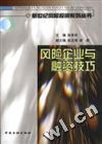 风险企业与融资技巧