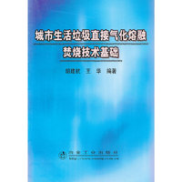 城市生活垃圾直接气化熔融焚烧技术基础
