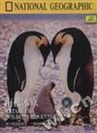 南极冰原NATIONAL GEOGRAPHIC VIDEO(VCD)