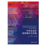 中央企业的统保理论与应用