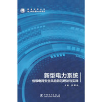 新型电力系统省级电网安全风险防范理论与实践