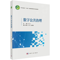 数字公共治理9787030847607洪涛科学出版社