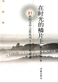在时光的鳞片上:诗歌集