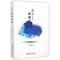 浦东新区村级组织