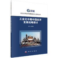工业化中期中国经济发展战略探讨