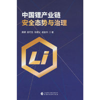 中国锂产业链安全态势与治理