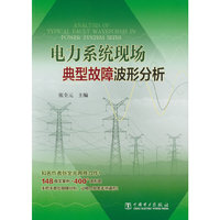 电力系统现场典型故障波形分析