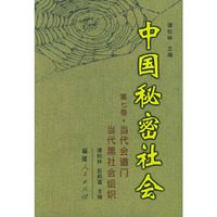 中国秘密社会.第七卷.当代会道门.当代黑社会组织
