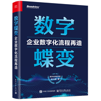 数字蝶变：企业数字化流程再造