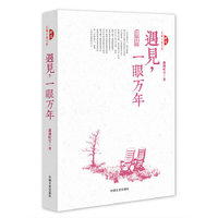 跨度 长篇小说 遇见一眼万年