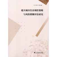 超大城市住房调控策略与风险模糊评估研究