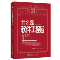 什么是软件工程 走进大学系列丛书