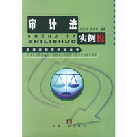 审计法实例说/法律法规实例说丛书