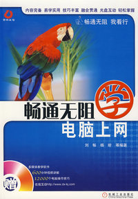 畅通无阻学：电脑上网