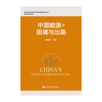 中国能源的困境与出路