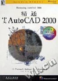精通中文AutoCAD 2000?