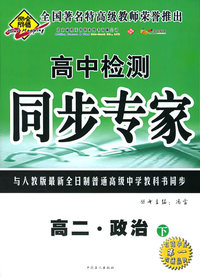 全脑突破：高二·政治下——高中检测同步专家
