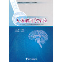 人体解剖学实验