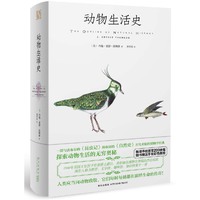 动物生活史