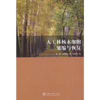 人工林杨木细胞皱缩与恢复