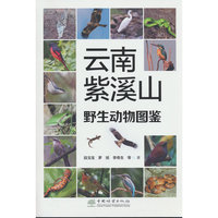 云南紫溪山野生动物图鉴