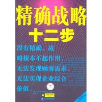 精确战略十二步